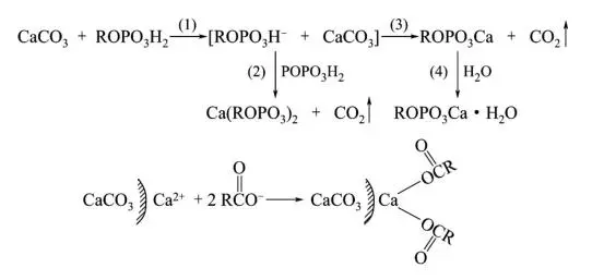 Sơ đồ phản ứng giữa este photphat-stearic-axit và canxi-cacbonat